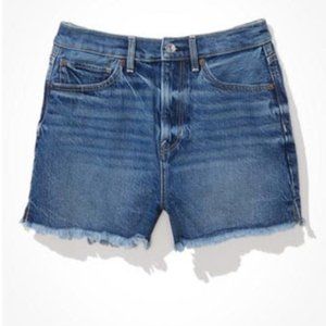 American Eagle 'Highest Rise 90's Boyfriend Short' Size 6, NWT